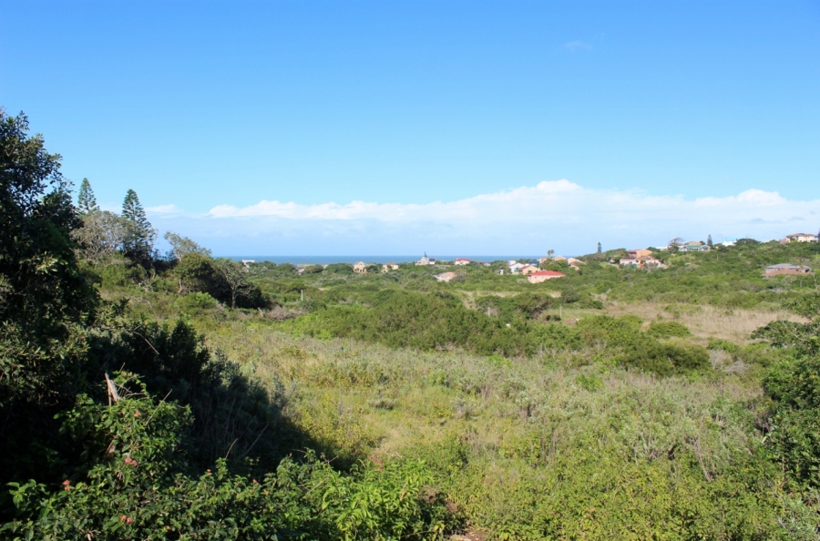 0 Bedroom Property for Sale in Forest Downs Eastern Cape